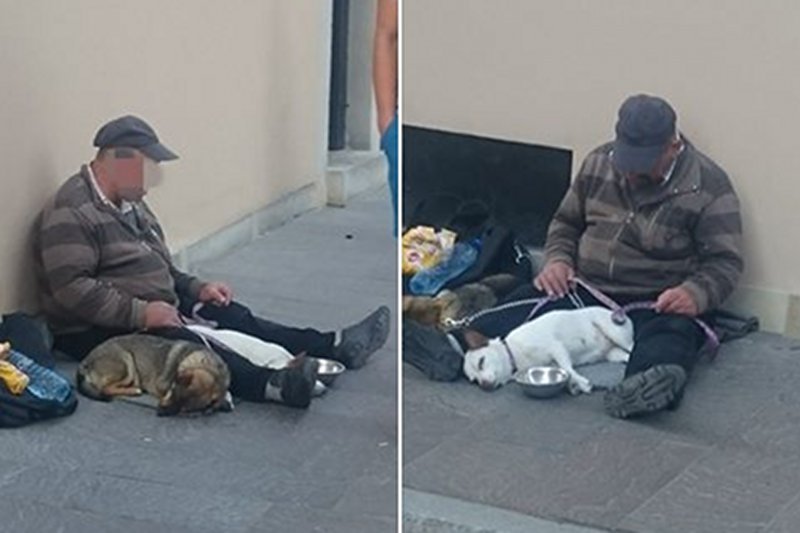 Ogólnopolska Baza Psów Wykorzystywanych Do Żebrania piętnuje wykorzystywanie zwierząt do takich celów. Szuka też ich właścicieli. Nie wszystkie psy są skradzione. Wielu żebrzących ma książeczkę psa, paszport, a nawet są zaczipowane.