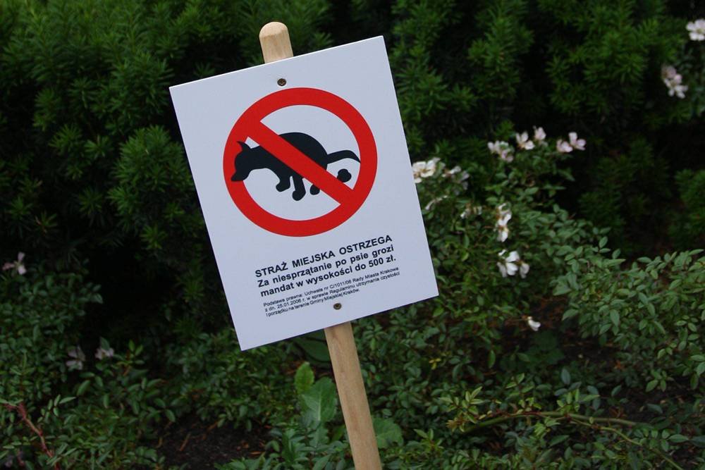 Tabliczka w Krakowie.