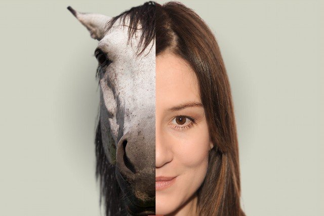 W akcji „Paka dla Bezdomniaka” bierze udział m.in. Maja Ostaszewska