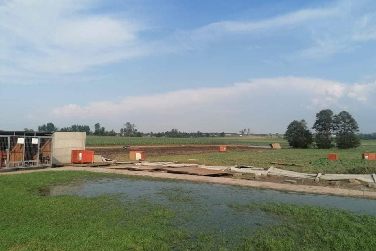 “Przez nasze schronisko przeszło tornado!“. Dramatyczny wpis o zaginionych psach