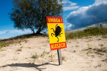Jak skutecznie chronić się przed kleszczami? Podpowiadamy.