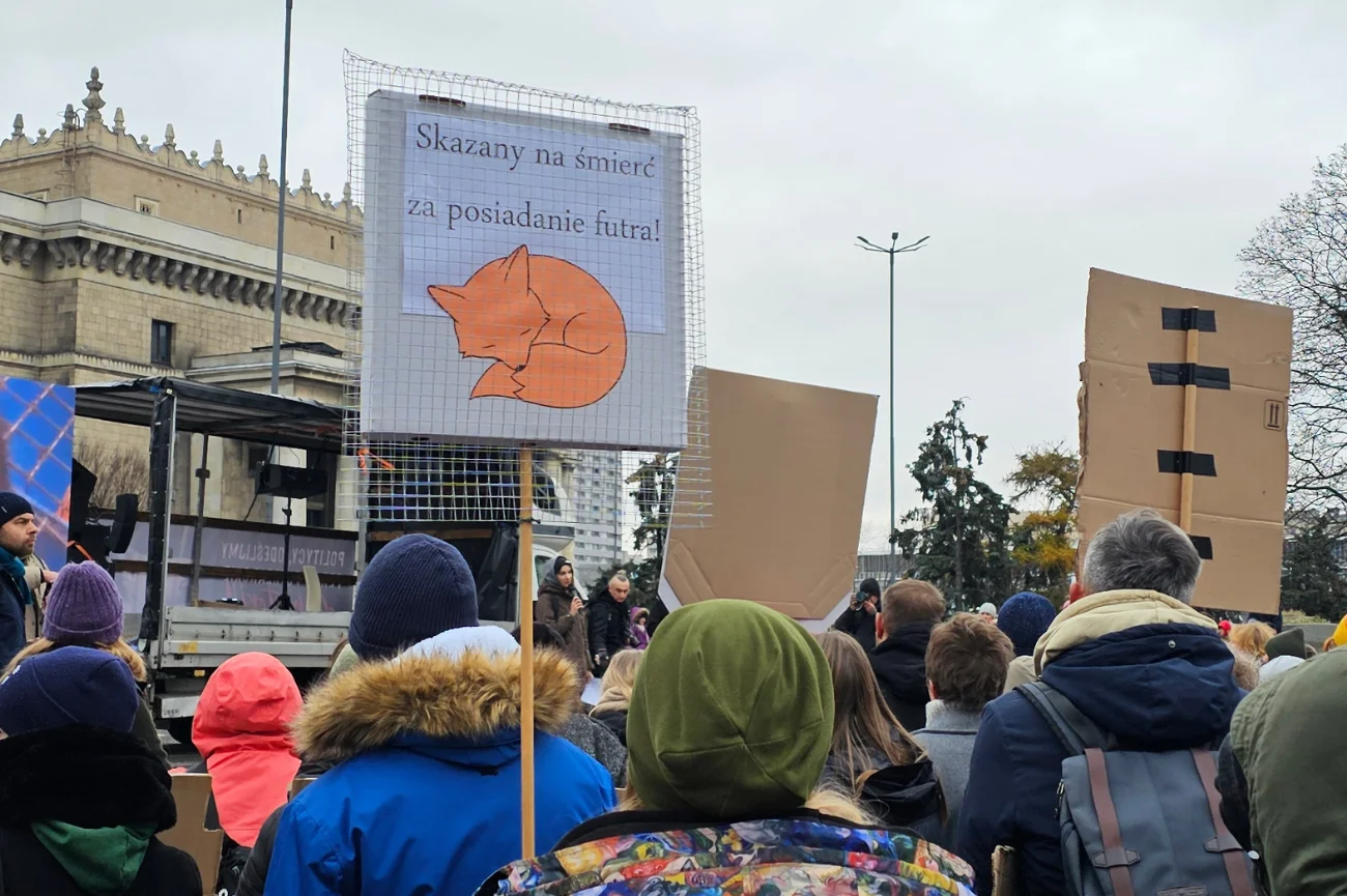 Tłum ludzi podczas obchodów Dnia Bez Futra w Warszawie