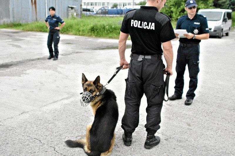 Sześć psów policyjnych z warszawskiej Pragi-Północ zginęło przez wyciek gorącej wody.