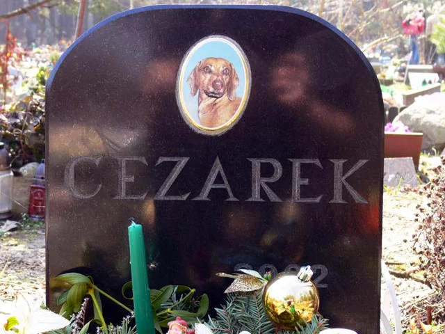 Nagrobek z cmentarzu "Psi Los".