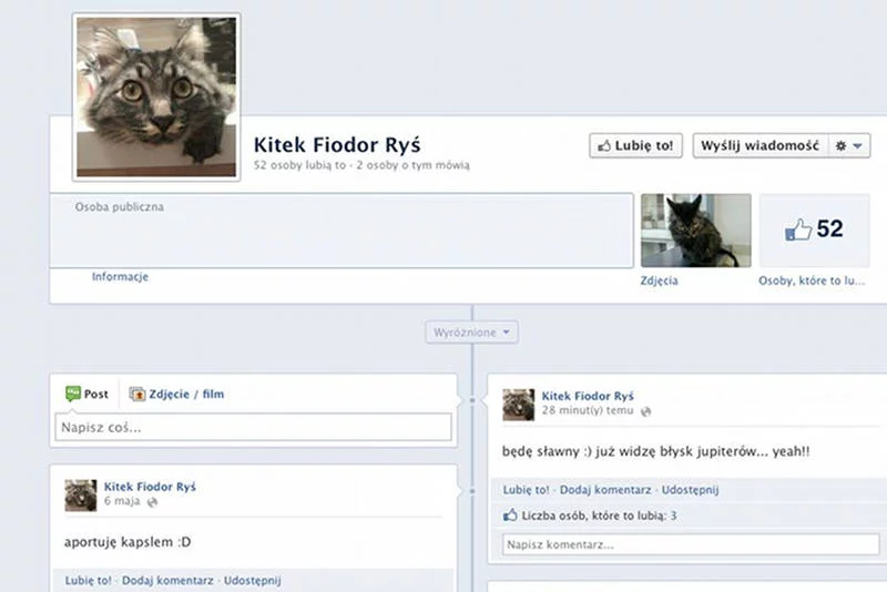 Kitek Fiodor Ryś