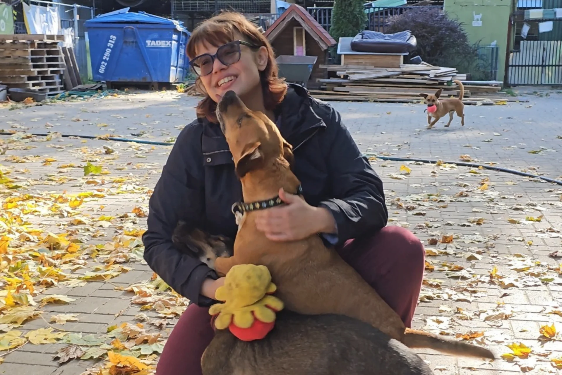 Wolontariuszka Ola tłumaczy, jak uniknąć szoku pokarmowego u psów ze schroniska Wolontariuszka bawi się z dwoma kundelkami w schronisku