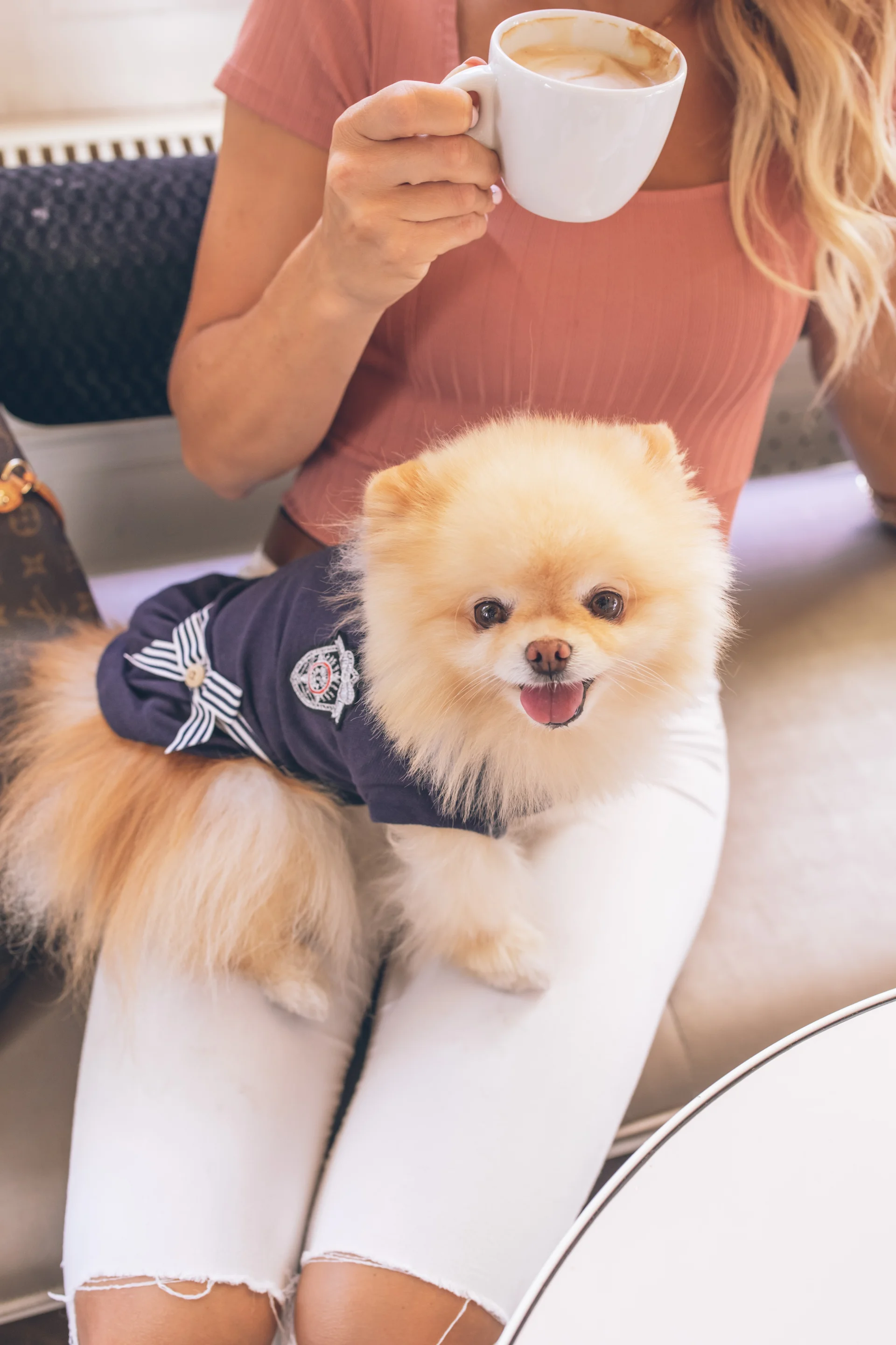 Pomeranian