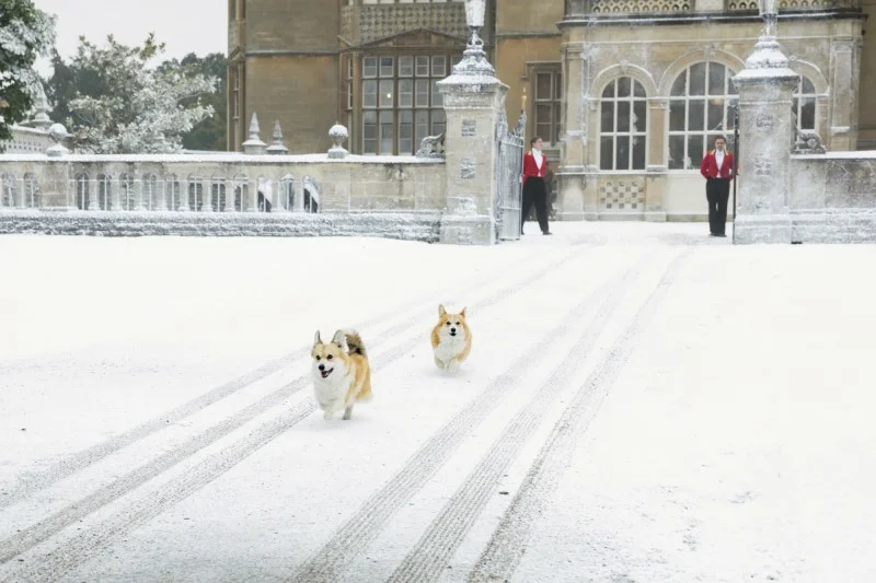 Corgi królowej Elżbiety II
