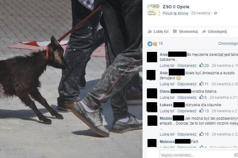 Screen z profilu II Zespołu Szkół Ogólnokształcących w Opolu. Zdjęcia zostały już usunięte.