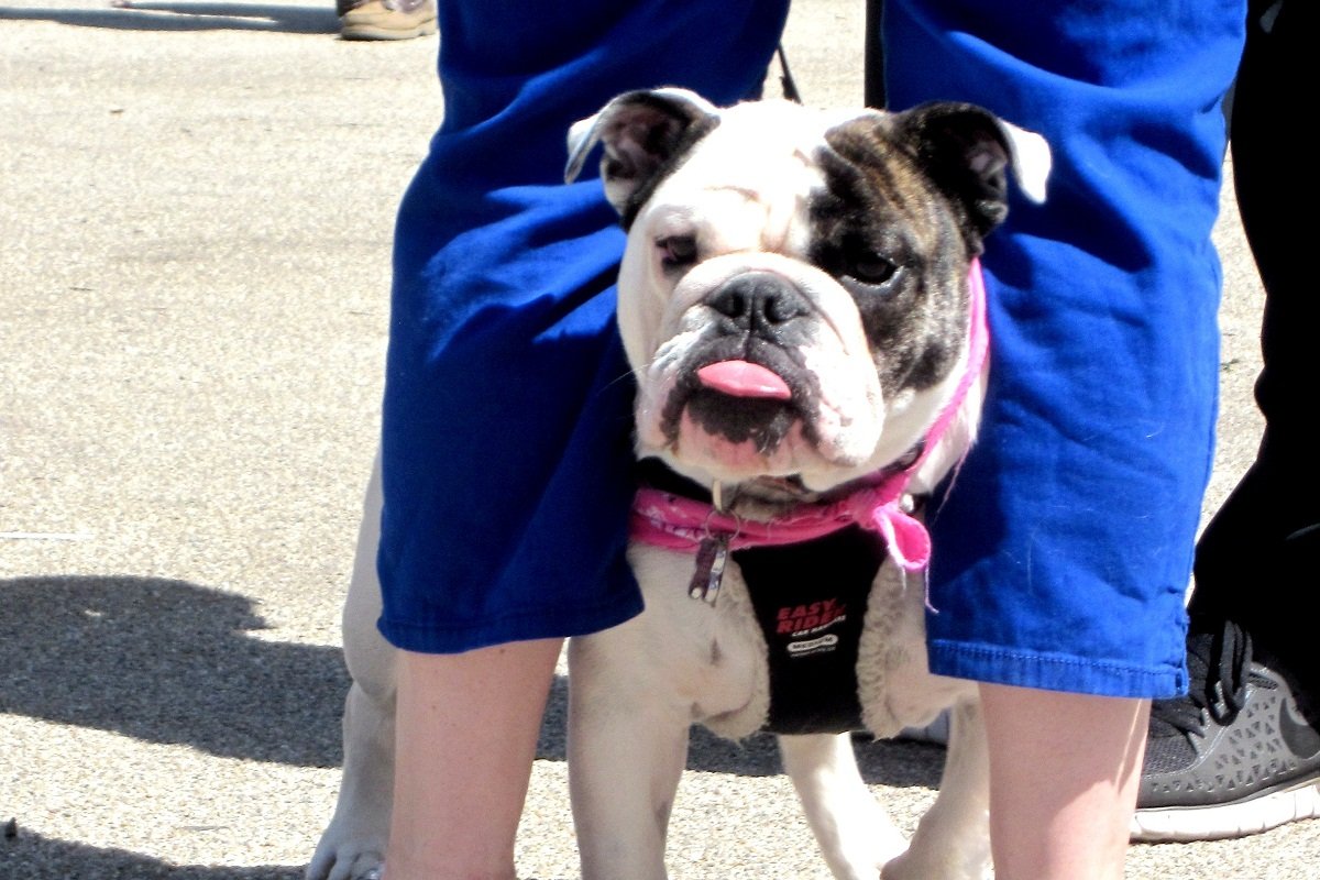 zdj. Anna Jastrzębska