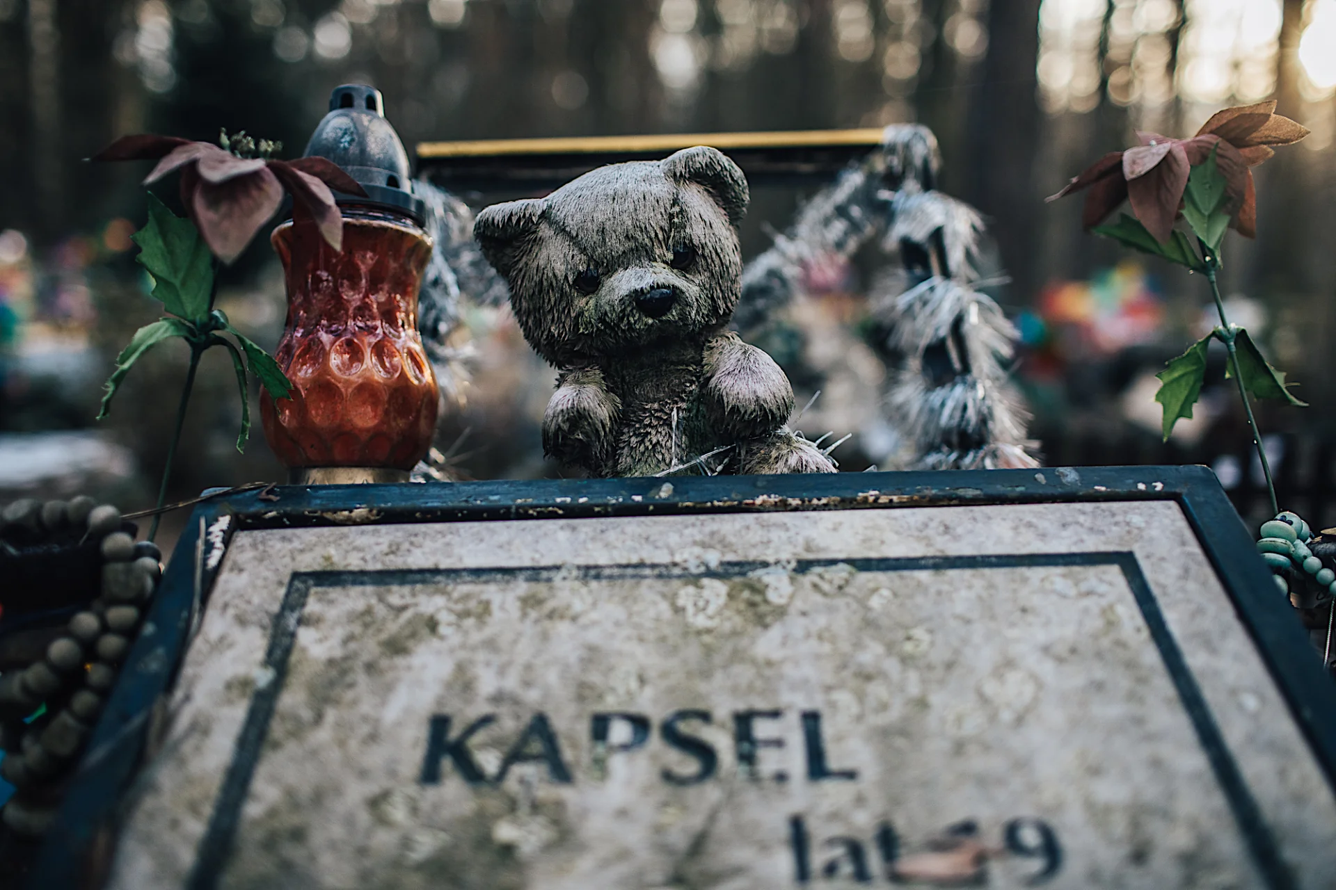 Niektóre pluszaki widziały już niejedną zimę na cmentarzu w Koniku Nowym