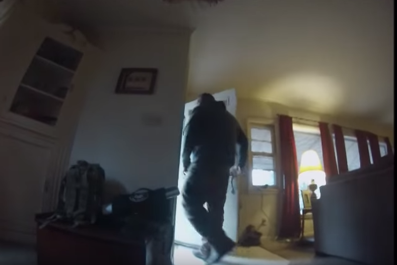 Często zostawiasz psa samego w domu?