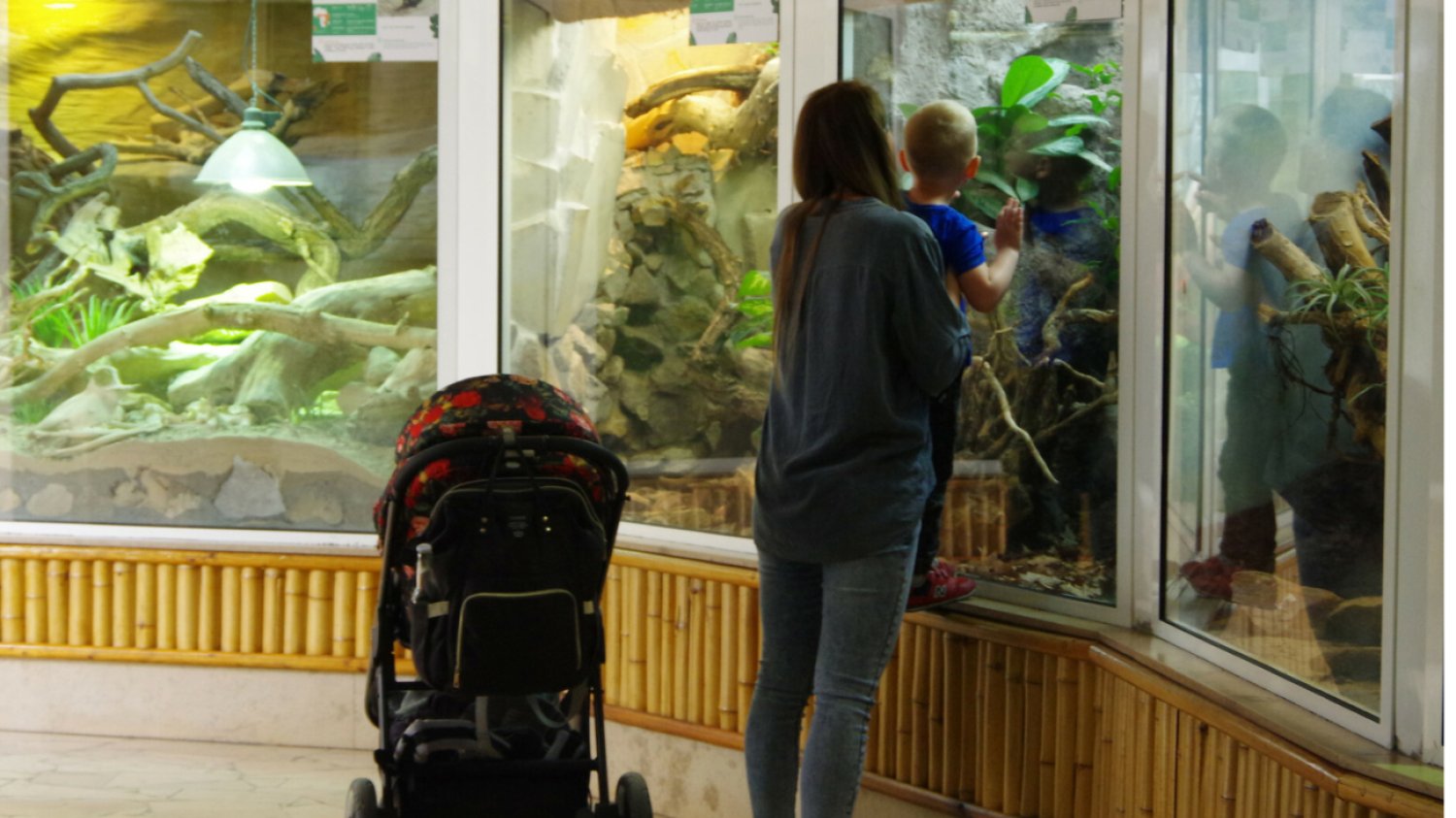 Warszawskie ZOO - zwiedzanie pawilonu z gadami i plazami