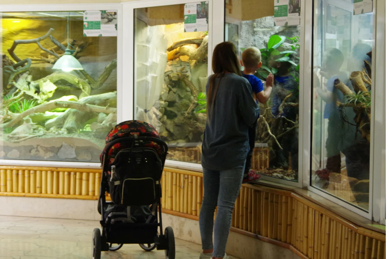 Warszawskie ZOO - zwiedzanie pawilonu z gadami i plazami