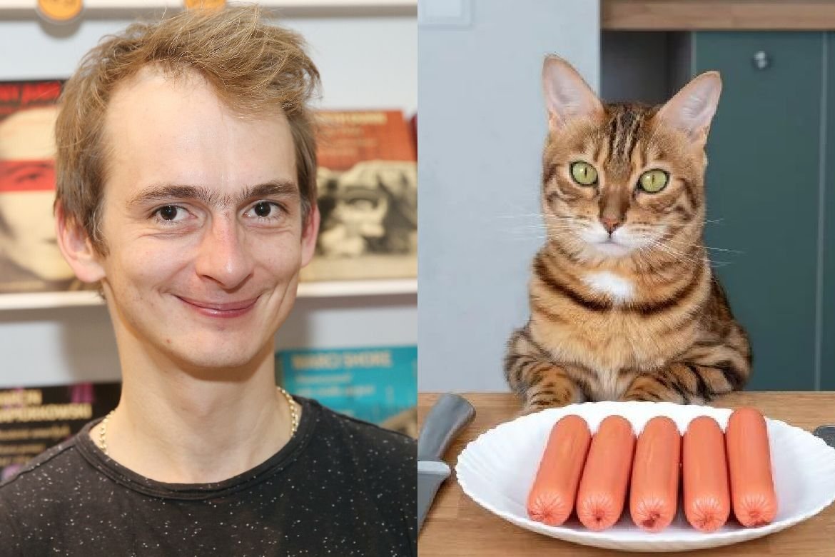 Koty nie mogą być wege.