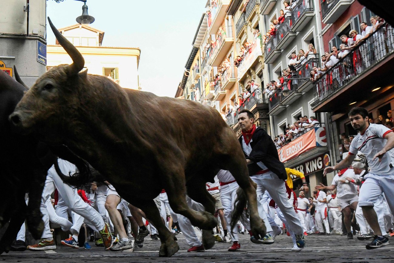 Dramatyczny finał hiszpańskiego konkursu z udziałem byków. Jeden nie żyje [WIDEO]
