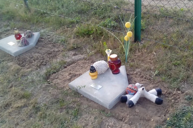 Niemal na wszystkich zwierzęcych nagrobkach - tak jak na ludzkich - stoją znicze.