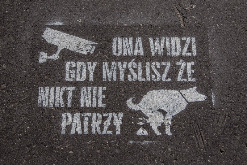 Mieszkańcy Warszawy zwracają uwagę, że miasto zalewają psie odchody