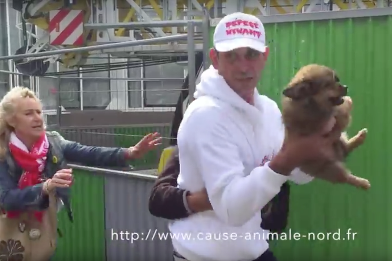 Zabranie zwierzaka było bardzo brutalne. Jeśli nawet słuszne, to dlaczego w ten sposób?