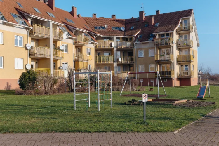 Karelski pies na niedźwiedzie ugryzł człowieka, który wszedł na prywatny teren