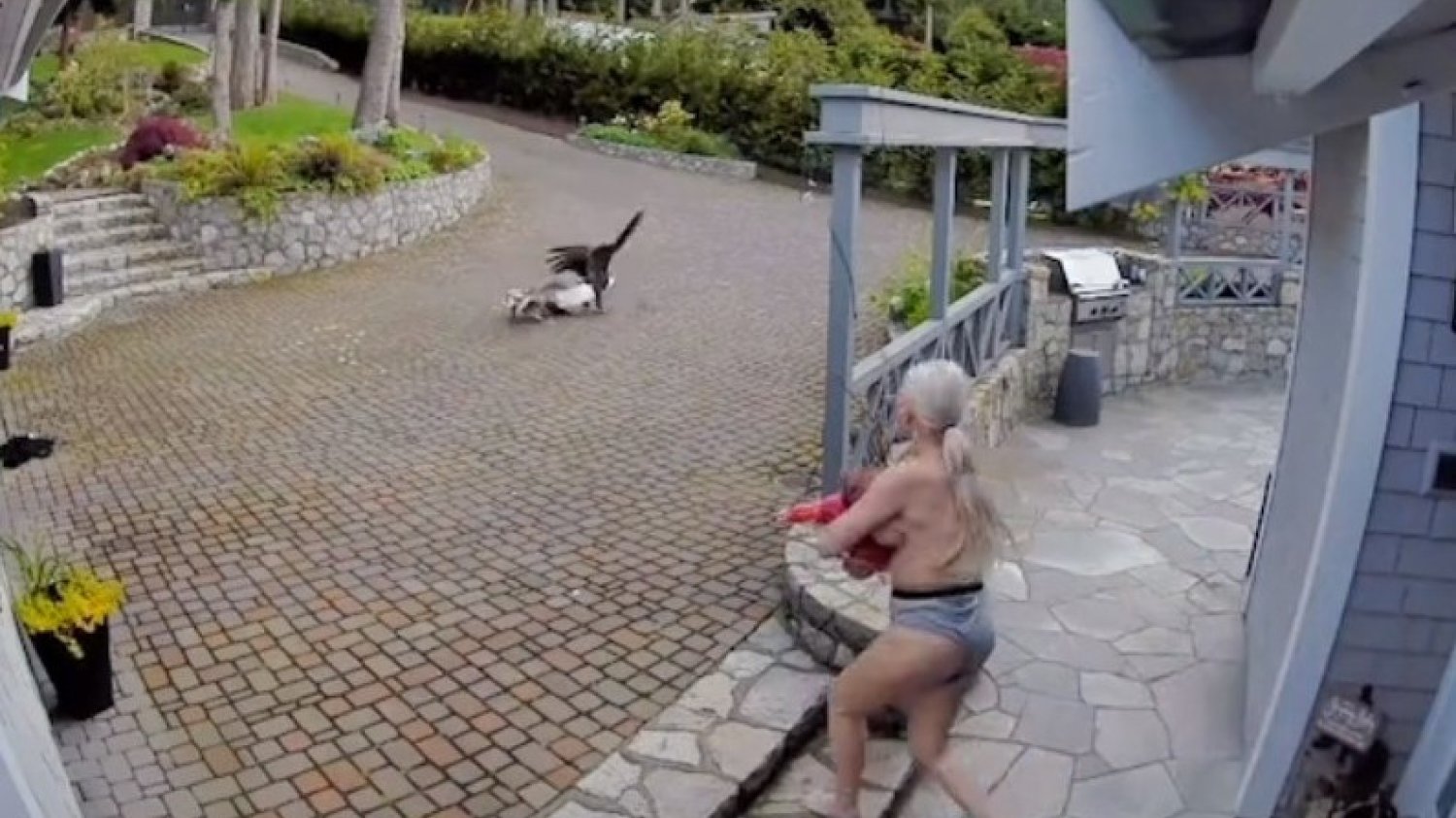 filmik tiktok matka orzeł gęś filmik tiktok matka topless orzeł gęś