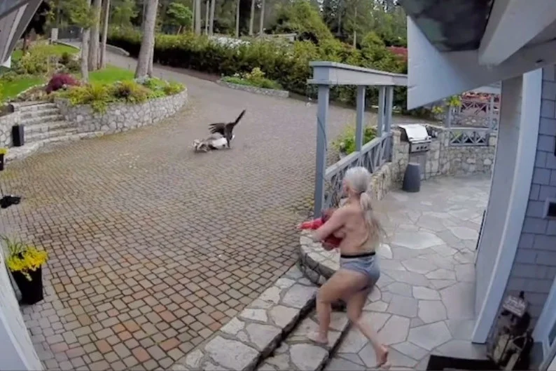 filmik tiktok matka topless orzeł gęś