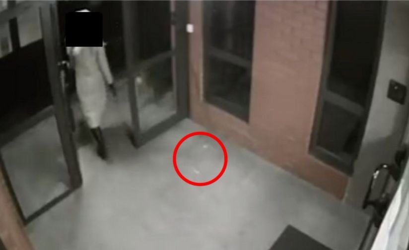 Kobieta wkładała haczyki wędkarskie do parówek dla psów.