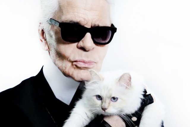Choupette Lagerfeld. Kotka, która ma lepsze życie od ciebie.