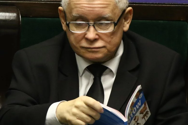 Jarosław Kaczyński nie od dziś słynie z zamiłowania do kotów.