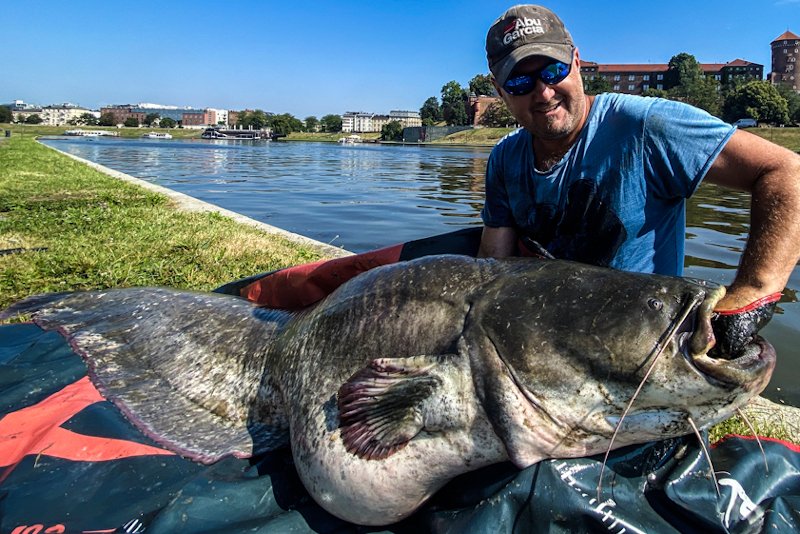 Pan Kamil złowił w Wiśle w Krakowie ogromnego suma.
