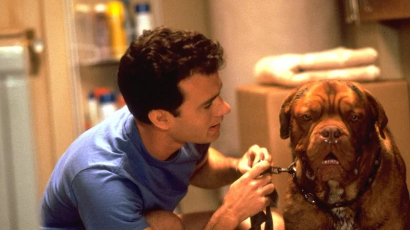 Kadr z filmu "Turner i Hooch" (1989)
