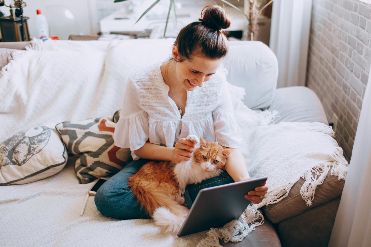 Promocje na Black Friday - artykuły dla zwierząt