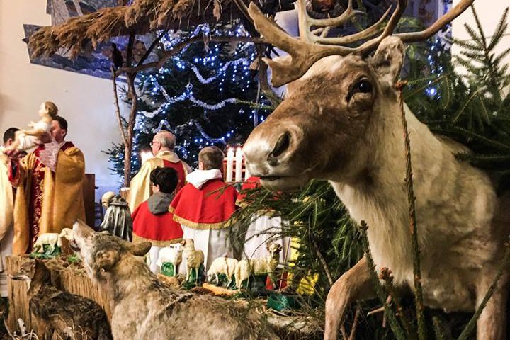 Scenografią do pasterki we Wrocławiu były wypchane zwierzęta