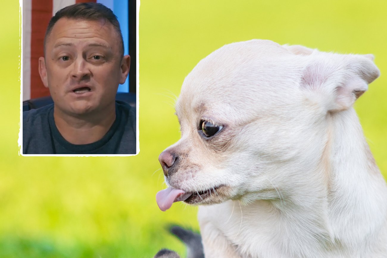 Są trzy rasy psów, które wymienił profesjonalny trener