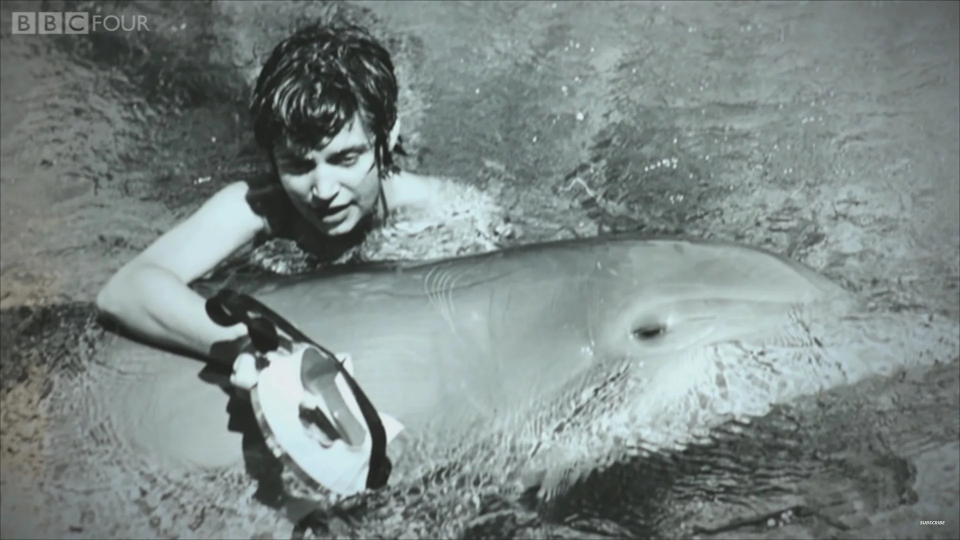 Mergaret Lovatt i delfin Peter