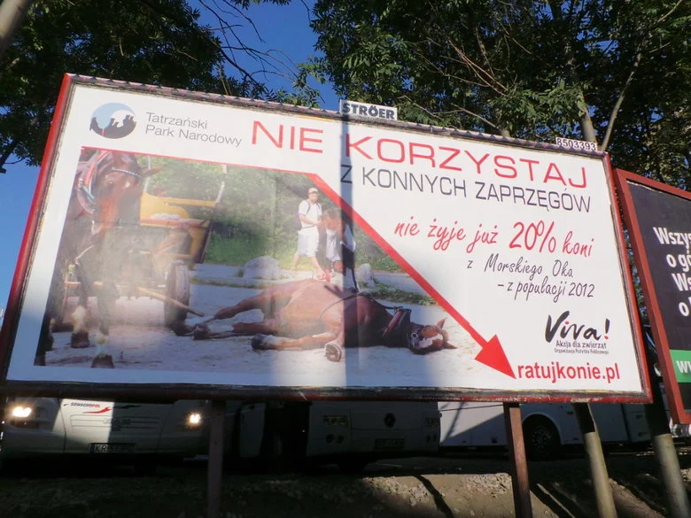 To zdjęcie pochodzi z 2014 r., gdy na drodze do Morskiego Oka dochodziło do protestów obrońców zwierząt i przepychanek z fiakrami.