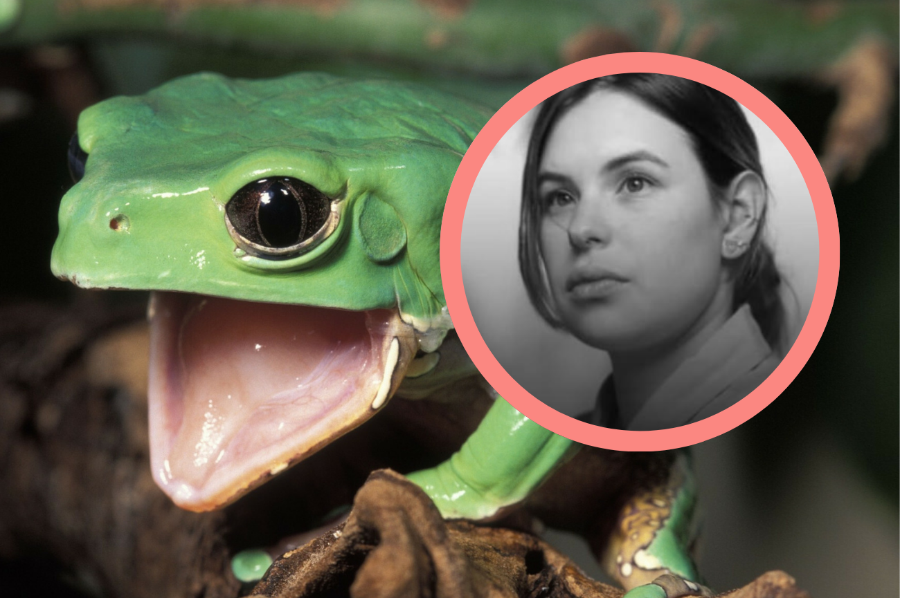 Marcela Alcázar Rodríguez zmarła w szpitalu Czerwonego Krzyża Zdjęcie zielonej żaby i czarno-białe zdjęcie młodej kobiety w kółku
