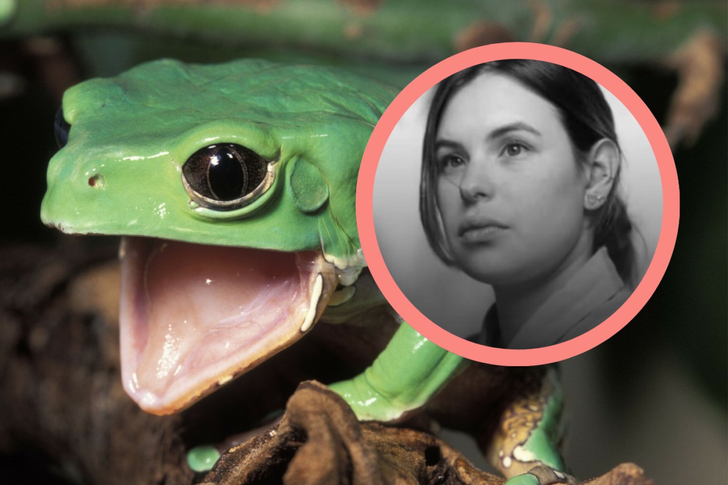 Marcela Alcázar Rodríguez zmarła w szpitalu Czerwonego Krzyża Zdjęcie zielonej żaby i czarno-białe zdjęcie młodej kobiety w kółku