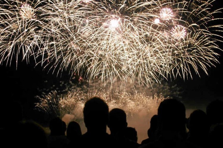 Zakaz używania fajerwerków. Rewolucyjny projekt ustawy jest już w Sejmie.