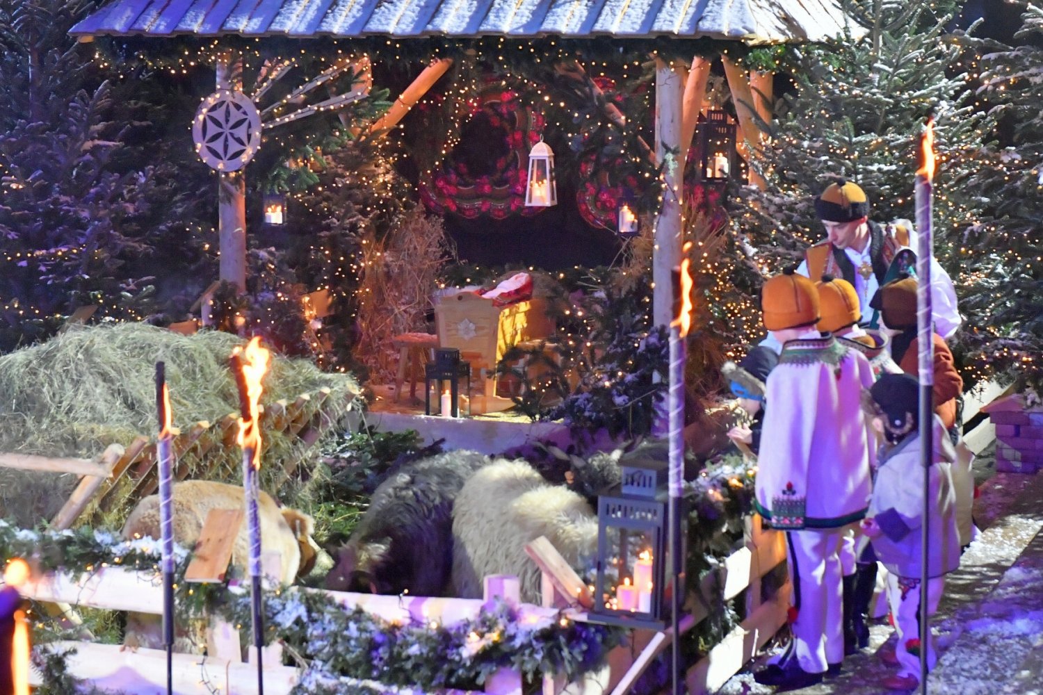 Prokuratura zajęła się sprawą żywej szopki w Łęczycy. Podczas mrozów padł w niej królik.