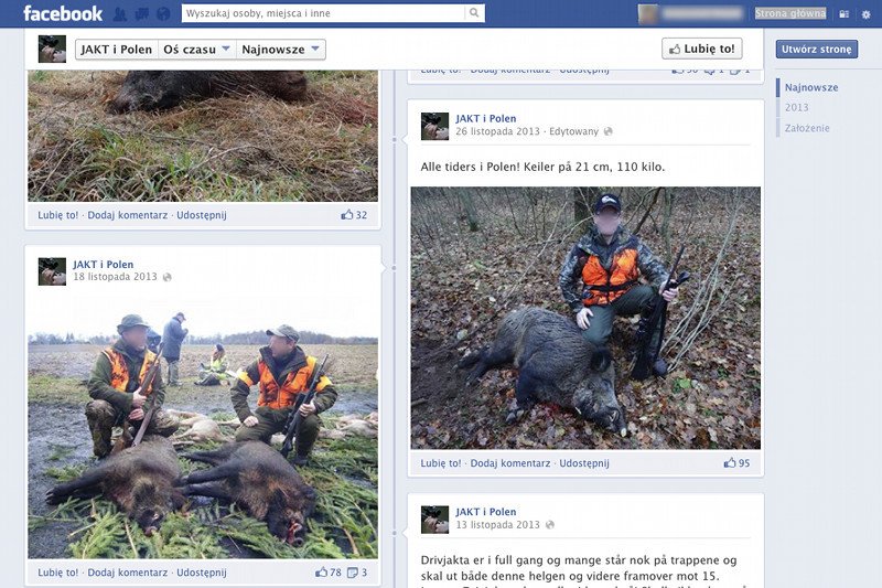 Polska jest kolonią skandynawskich myśliwych? Polskie trofea wiszą na norweskich, duńskich i szwedzkich ścianach