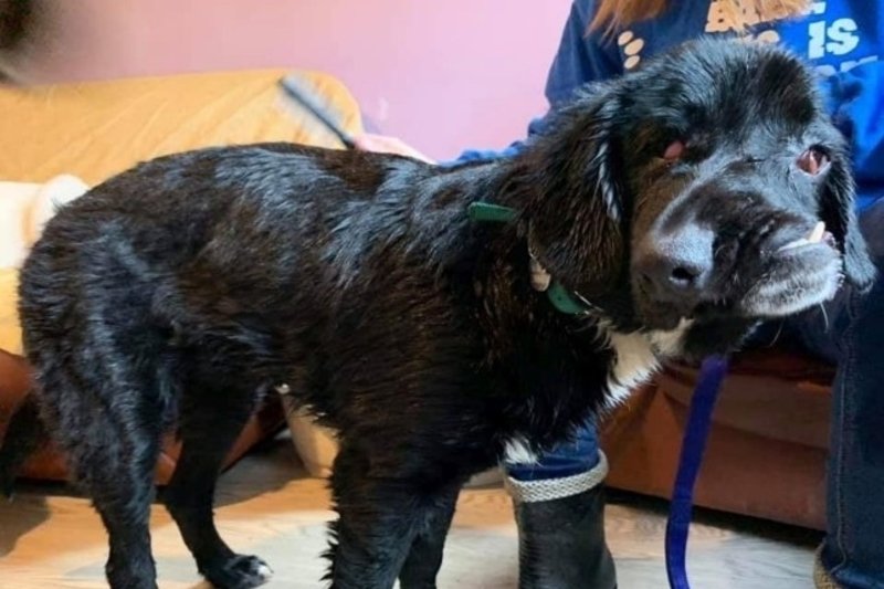 Bethany ma osiem miesięcy.