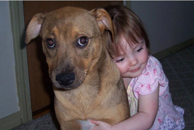 Behawioryści ostrzegają, że psy nie lubią przytulania