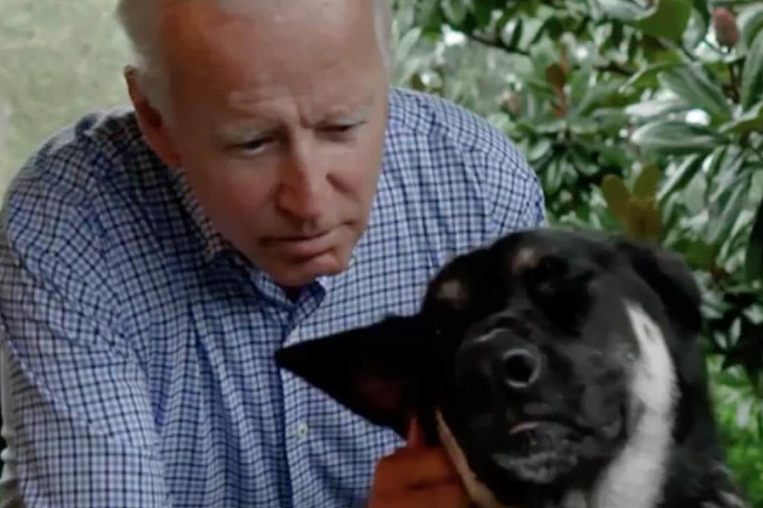 Prezydent USA Joe Biden i Pierwszy Pies Major