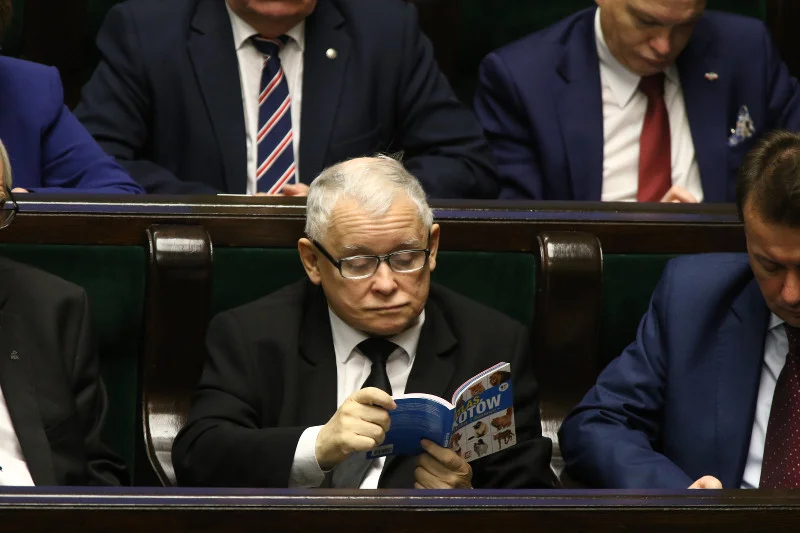 Jarosław Kaczyński stwierdził, że projekt zmian w ustawie o ochronie zwierząt poprą wszyscy dobrzy ludzie w Polsce.