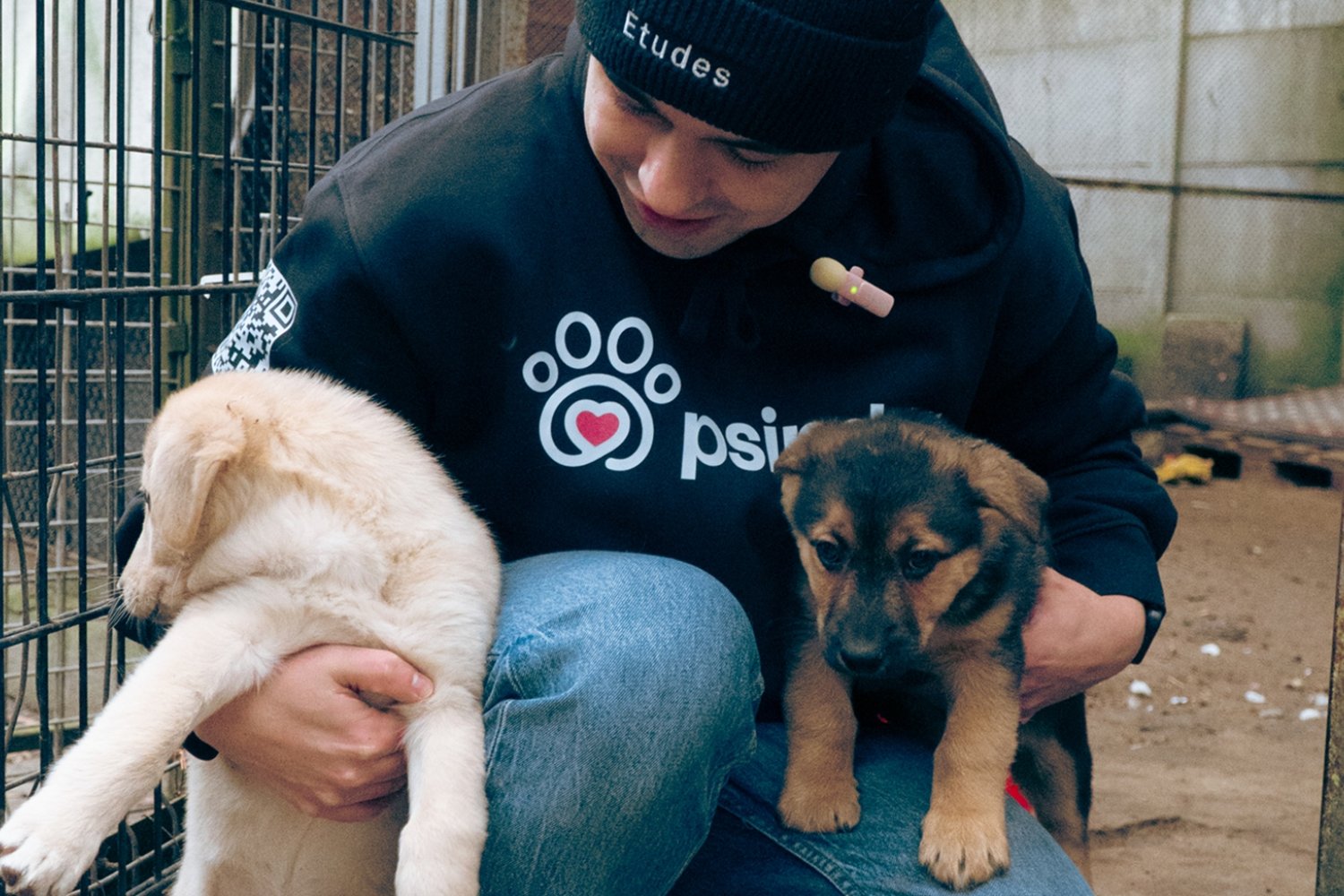W Polsce branża pet-tech przeżywa dynamiczny rozwój. Jego pokłosiem jest Psinder, polska aplikacja wspierająca adopcję psów.