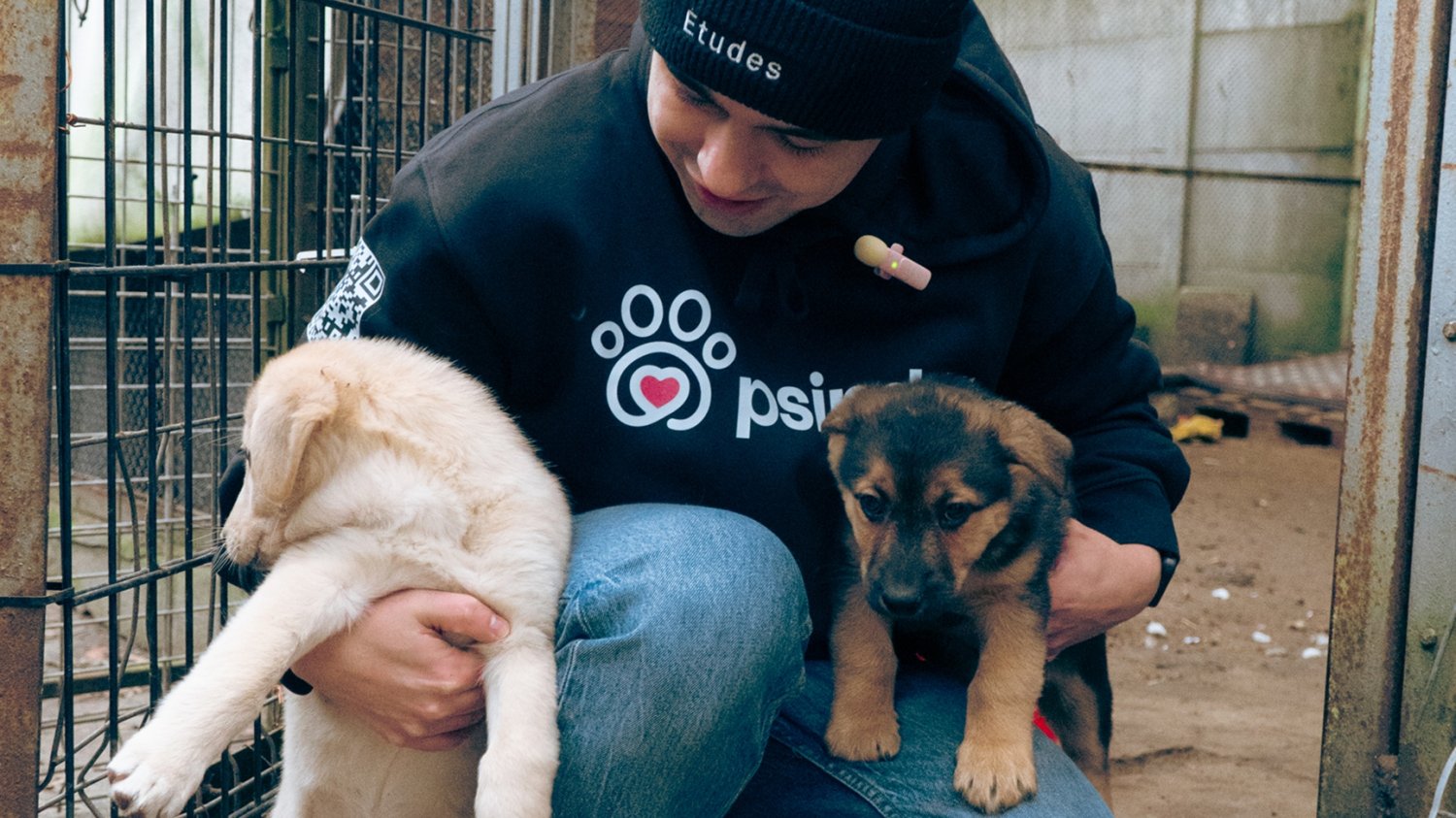 W Polsce branża pet-tech przeżywa dynamiczny rozwój. Jego pokłosiem jest Psinder, polska aplikacja wspierająca adopcję psów.