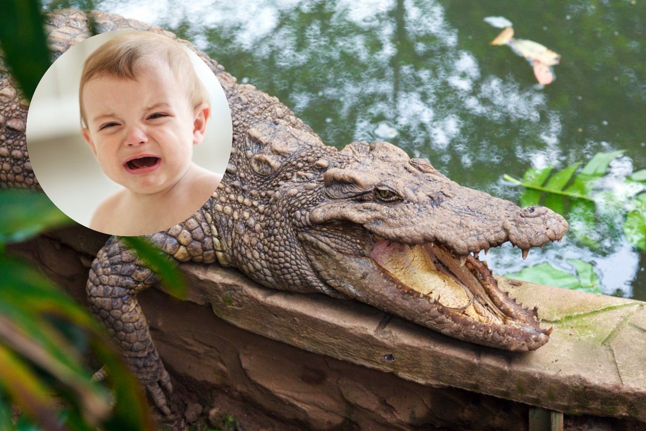 Możesz mieć coś wspólnego z krokodylem