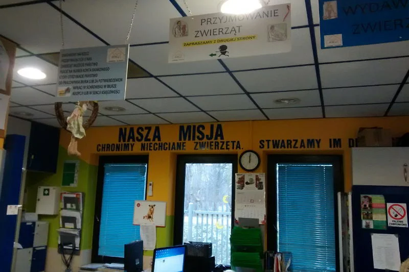 Recepcja schroniska "Na Paluchu" i hasło, które przyświeca jego pracownikom.