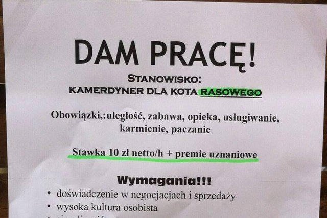 Praca szuka człowieka!